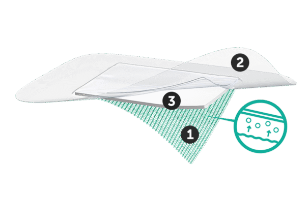 Illustration af Sorbact Secure-bandagens tre lag. Nummer 1 det nederste grønne lag, nummer 2 det øverste transparente lag, og nummer 3 mellemlaget.